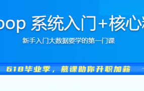 Hadoop 系统入门+核心精讲