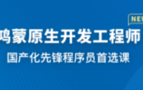 极客时间大模型RAG进阶实战营（包更新）