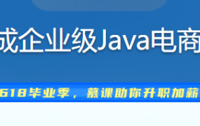 从0开始 独立完成企业级Java电商网站服务端开发