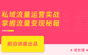 私域流量运营实战，掌握流量变现秘籍