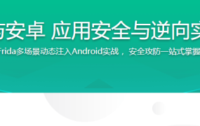 FRIDA与安卓 应用安全与逆向实战宝典