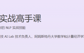 NLP 实战高手课