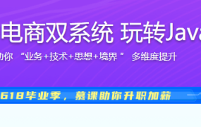 实战支付+电商双系统 玩转Java技术栈
