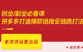 创业/副业必备课，拼多多打造爆款链接全链路打法