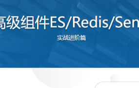Yii2.0进阶版，高级组件ES/Redis/Sentry优化京东平台