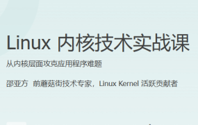 Linux 内核技术实战课