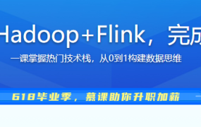 9大业务场景实战Hadoop+Flink，完成大数据能力进修 一课掌握热门技术栈，从0到1构建数据思维
