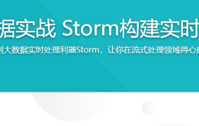 Java大数据实战 Storm构建实时流处理