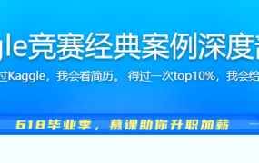 Kaggle竞赛经典案例深度剖析