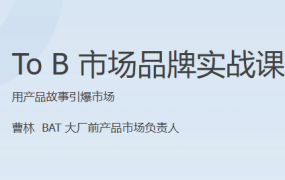 To B 市场品牌实战课