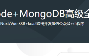 Vue+Node+MongoDB高级全栈开发