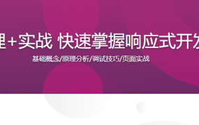 原理+实战 快速掌握响应式开发