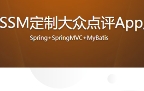 Java SSM定制大众点评App后台
