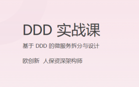 DDD 实战课