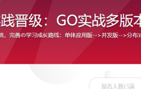 全流程开发实践晋级：GO实战多版本抢红包系统