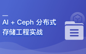 大模型基石 AI 分布式存储工程实战
