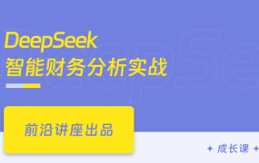 DeepSeek智能财务分析实战