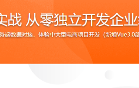Vue全家桶实战 从零独立开发企业级电商系统
