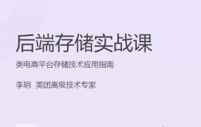 后端存储实战课
