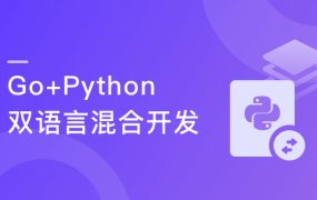 开发者内功修炼营 Linux底层优化+高并发架构+手写分布式IM系统全攻略