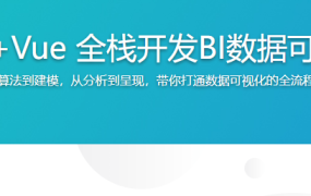 Python+Vue 全栈开发BI数据可视化项目