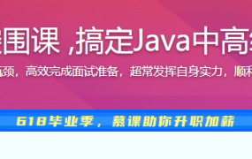 Java高级面试突围课 ,搞定Java中高级面试的必考点