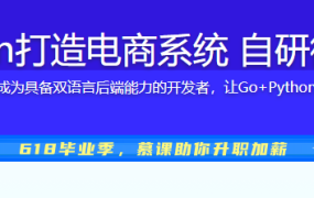 Go+Python打造电商系统 自研微服务框架