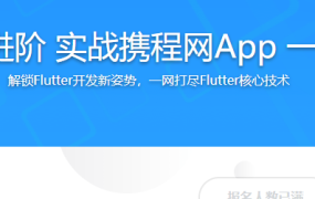 Flutter从入门到进阶 实战携程网App 一网打尽核心技术