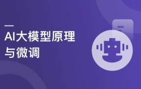 AI大模型算法-从大模型原理剖析到训练(微调)落地实战