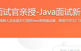 Google面试官亲授-Java面试新手尊享课
