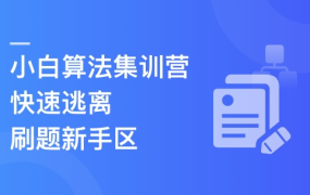 小白算法集训营-大幅提升刷题量,快速逃离新手区
