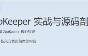 ZooKeeper 实战与源码剖析