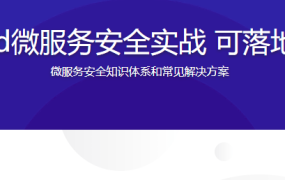 Spring cloud微服务安全实战 可落地的安全方案