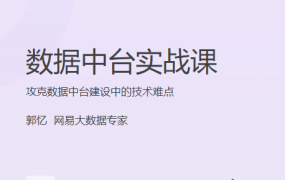 数据中台实战课
