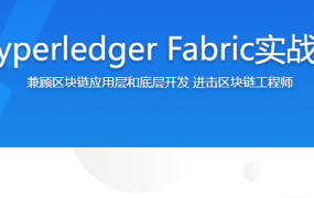 学习Hyperledger Fabric实战联盟链