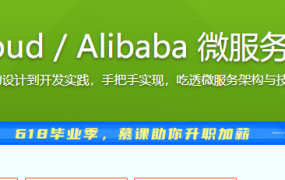 Spring Cloud / Alibaba 微服务架构实战