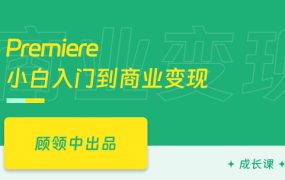 Premiere影视剪辑全能指南-特效/字幕/转场/插件/实操