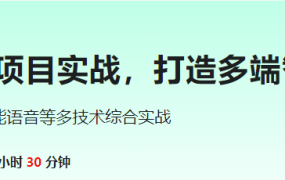 ChatGPT+AI项目实战，打造多端智能虚拟数字人