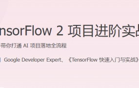 TensorFlow 2 项目进阶实战