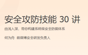 安全攻防技能 30 讲