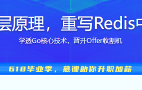 深入Go底层原理，重写Redis中间件实战
