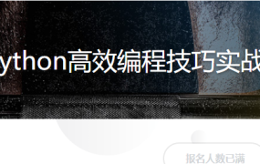 Python高效编程技巧实战