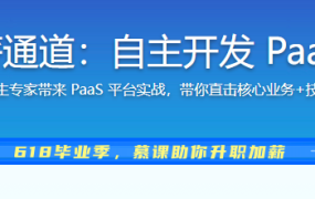 Go 开发者的涨薪通道：自主开发 PaaS 平台核心功能