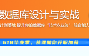 阿里新零售数据库设计与实战 （升级版）
