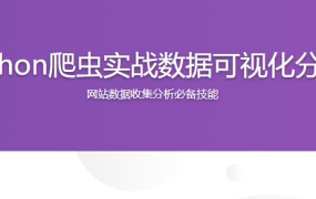 Python爬虫实战数据可视化分析